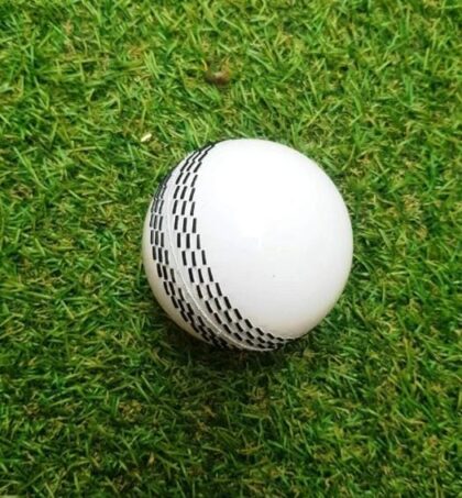 Cricket Ball